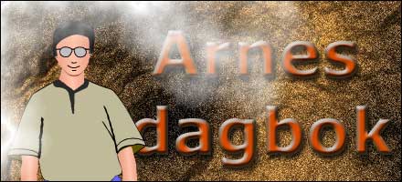 Arnes dagbok