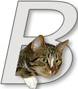 Bitis bilderbok