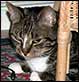 2005-05-08 12:20:33