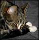 2005-05-14 16:26:16