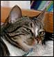 2005-06-19 21:29:49