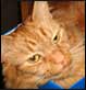 2005-06-21 19:11:23