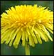 2005-06-24 15:08:45