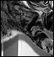 2005-09-17 10:25:57