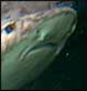 2005-10-01 20:15:45