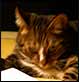 2005-10-13 21:32:14