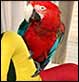 2007-03-06 09:53:53