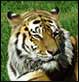 2007-06-04 22:41:09