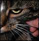 2007-07-31 15:20:51